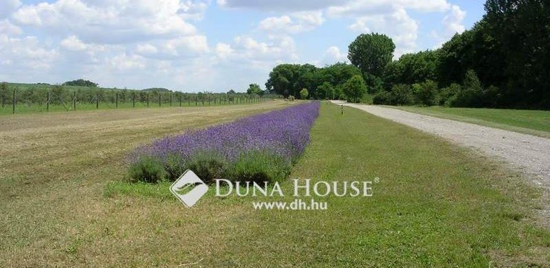 Legyen nagybirtokos, saját farmgazdaságában! Egy nagyszerű lehetőség, 690 millióért…