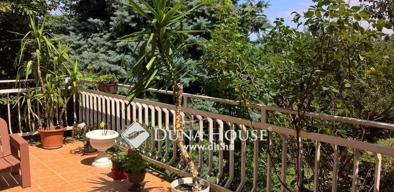 Kamaraerdő, te csodás: ennél olcsóbb és élhetőbb házikó nincs ma Budapesten!