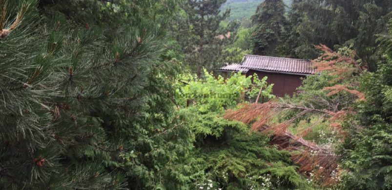 Az év slágere lehet a pilisszentiváni, 7,99 milliós nyaraló!