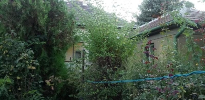 Ilyen, amikor egy belvárosi minigarzon áráért álom házunk lehet az Örstől 10 percre…