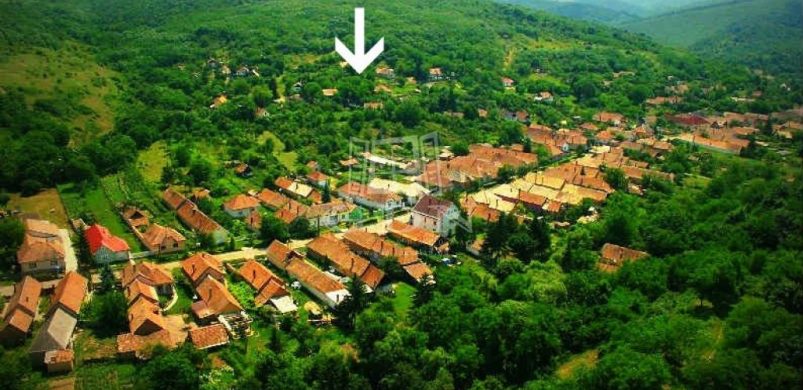 Ez a legolcsóbb, börzsönyi nyaraló, amit bármikor megvennénk!