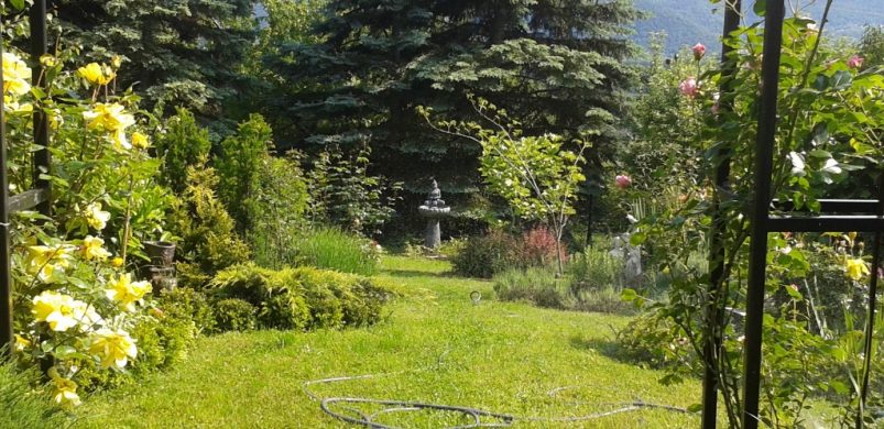 Jobbulást és egy gondos vevőt kívánunk a betegség miatt eladásra szánt nyaraló tulajdonosának!