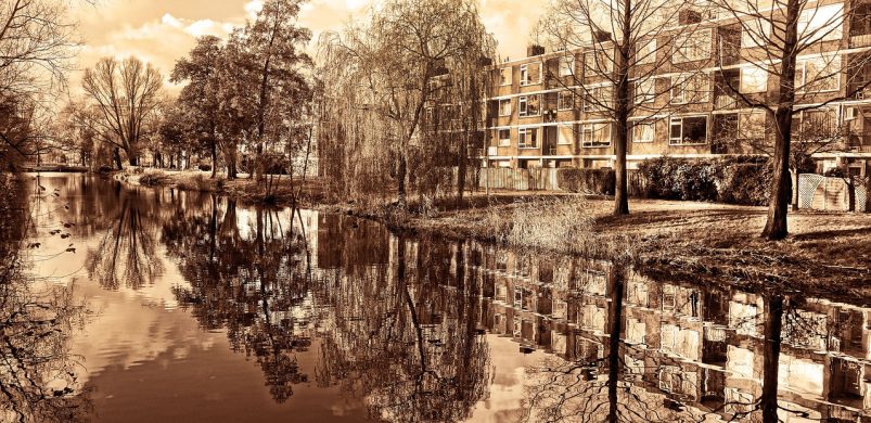 Panel-pánik? Nem, csak realizmus. Szakértői poszt, nem csak panel tulajdonosoknak!