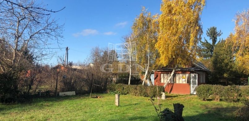 Nyaralóba BKV-val? Naná! Egy XI. kerületi oázis, 20 millióért