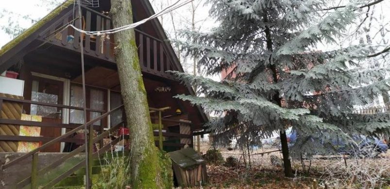 Két erdei házikó 1 áráért, Kismaroson!