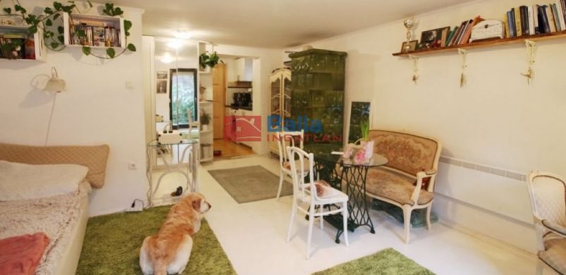 „Kutyajó élet” Nagymaroson, 17, 5 millióért!