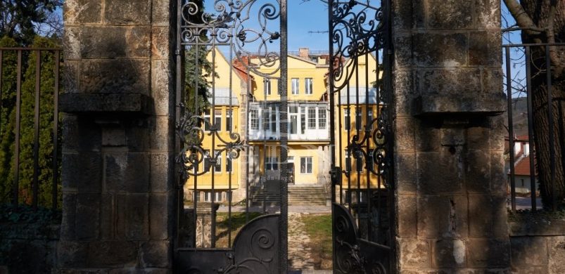 Kiadó a Lipótmező! Avagy egy romantikus kastély, havi 4 millióért