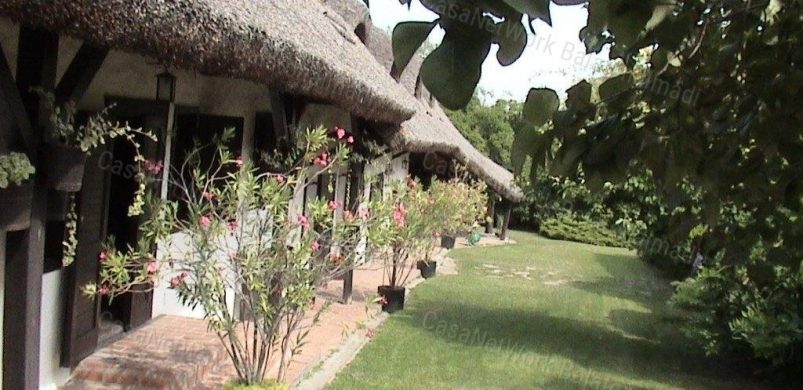 Nem csak ingatlan, hanem életérzés! Egy tradicionális ház a Salföldről