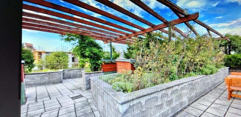 Szuper lakás tulajdonostól, tetőkertes társasházban!