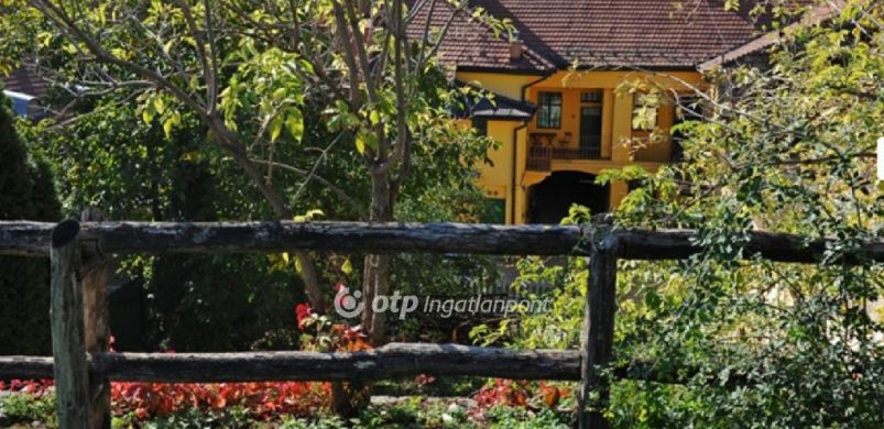 Egy két világháború közötti, 9 szobás ház, nem csak befektetőknek!