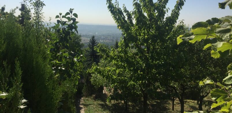 Vajon hány nyaraló van a fővárosi ingatlanpiacon?