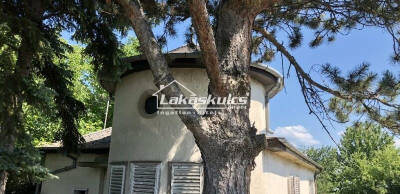 Romantikus pillanatok Zánkán, vízparti birtokon!