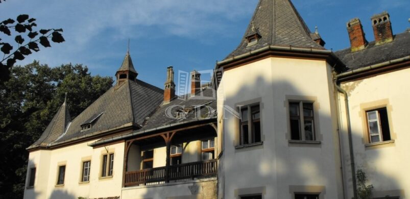 Eladó kastélyok rovat: a ladi „Hoyos Kastély”