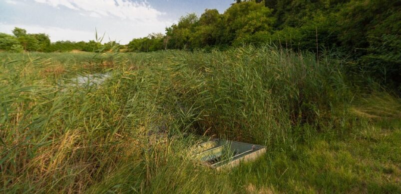 A hét ingatlana: mocsár a határon, 10 millióért!