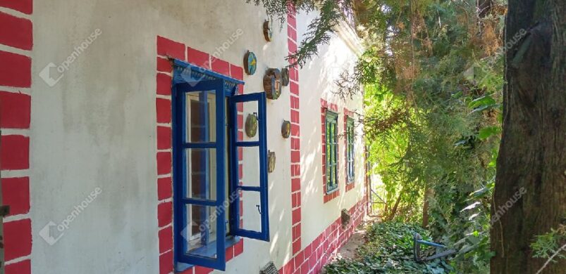 Egy nagykörűi, piros-kék motívumos szépség!