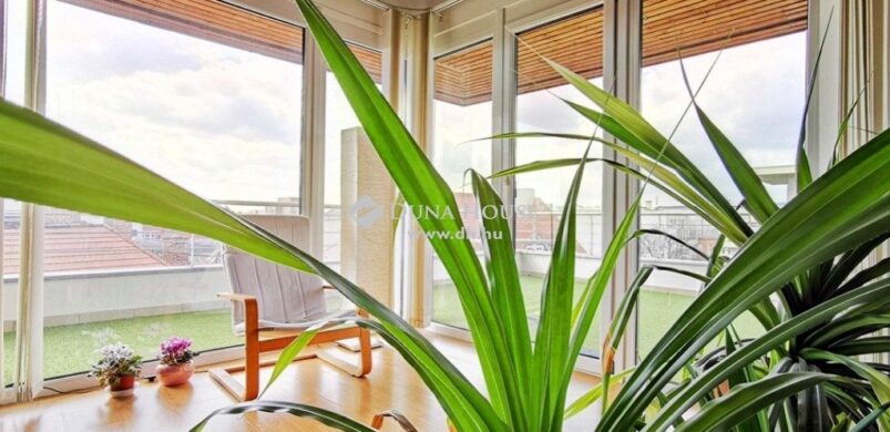 Loft jelleg és egy kis minigolf a teraszon, a XIII. kerületben