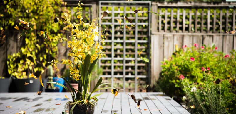 A kertes házak lettek a vevők kedvencei, de a panelek piaca is magához tért
