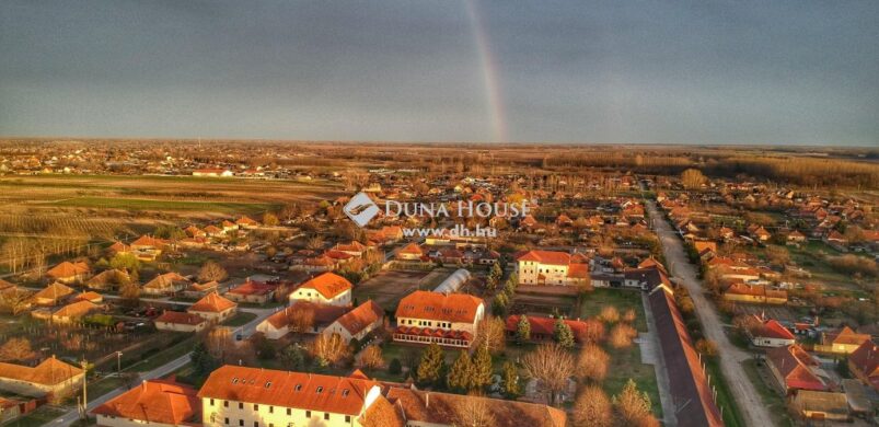 Bor és pálinka múzeumot venne? Van az ingatlanpiacon!