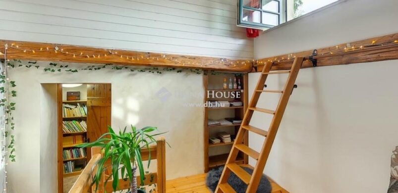 Hinnye, Tinnye! Avagy egy 100 éves kúria modern vonalai