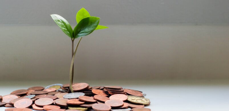 Szállingózó befektetők, nyomott árak? Egy 2022-es prognózis