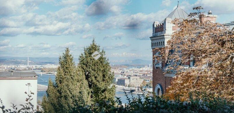 Lakás kilátással a Hegedűs-villára, amelyben Andy Vajna is élt