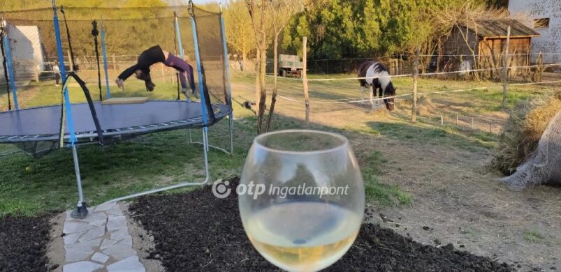 Ennél élet vidámabb fotót még nem láttunk ingatlanhirdetésben!