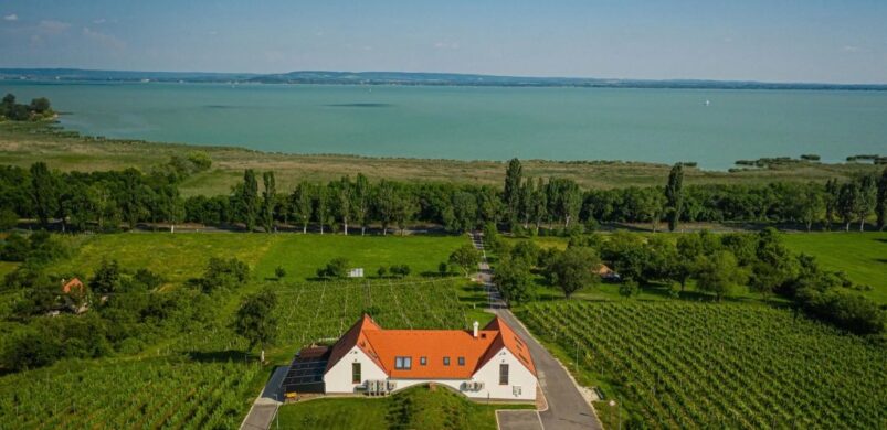 „Bor, mámor, Balaton!’ avagy egy milliárdos kúria Balatonrendesen
