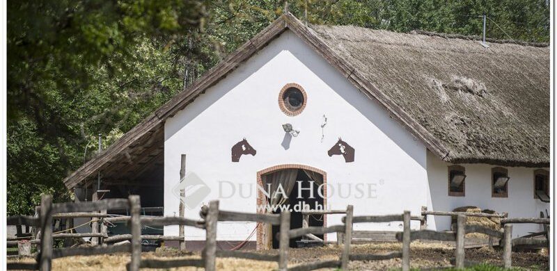 Nyeregbe, magyar! Avagy eladó egy kecskeméti tanya!