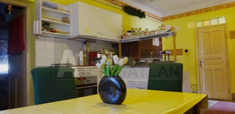 Tavaszi hangulat: egy aranyeső-sárgába öltözött szegedi otthon