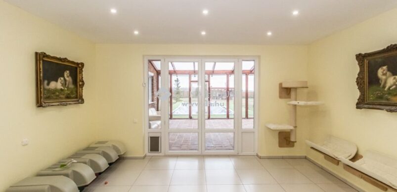 Macska mennyország, avagy egy “madrácsicsergős, elegáns” otthon Sajtoskálon