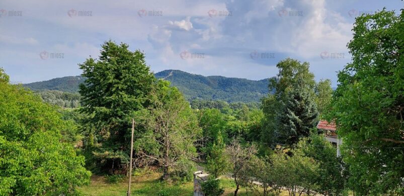 15 millió forint alatti zseniális nagymarosi nyaraló? Lehetséges!