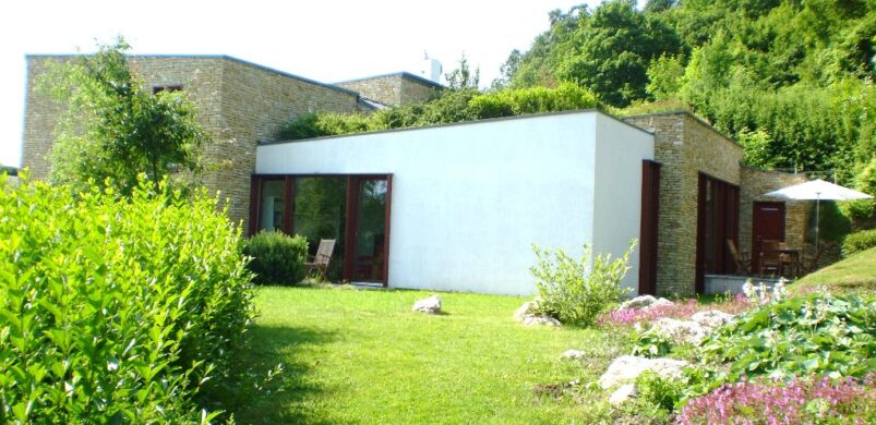 Vegyen házat Erick van Egeraat-tól! Mondjuk Remeteszőlősön!