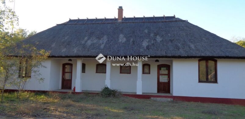 Szalmatetős cukiság pesti lakás áráért Fülöpszálláson?