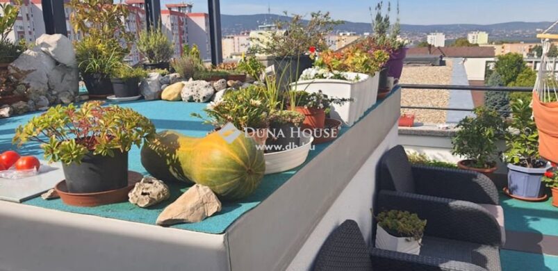 Hiába, egy jó pécsi lakásra elég egy mondatot szánni!