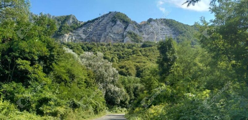 Íme a kedvenc, bélapátfalvai zártkerti ajánlatunk!