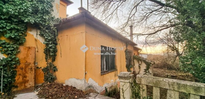 399 millióért eladó a Puky kastély