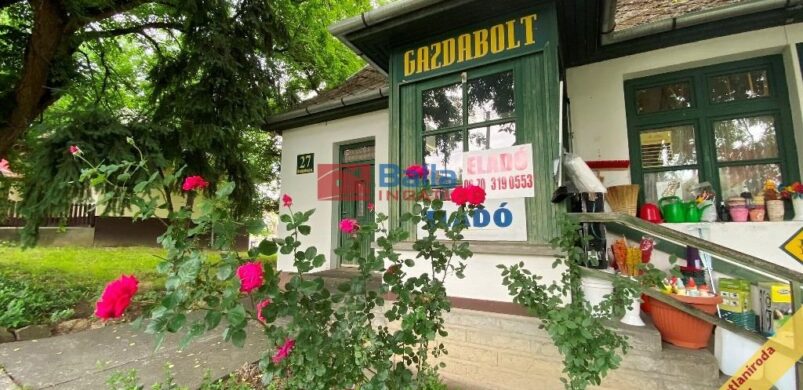 Nógrád megye üzleti ingatlan eladási bajnok?