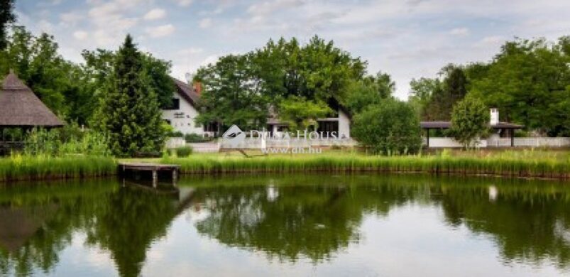 Az örök szabadságot ígéri egy 299 milliós kecskeméti birtok