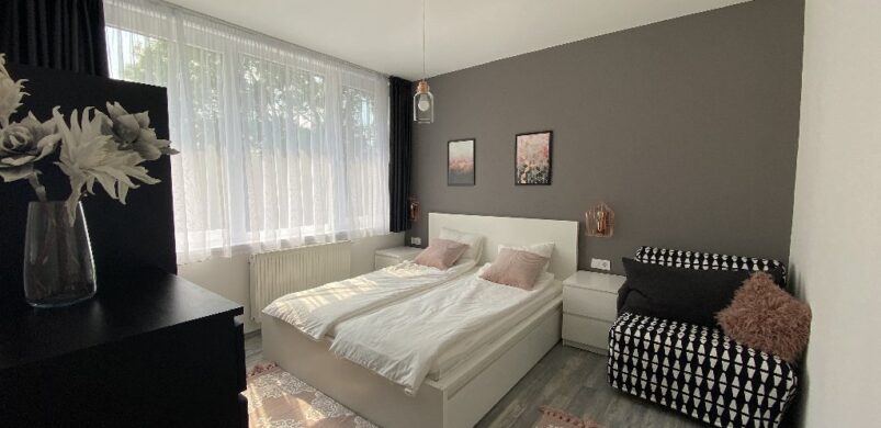 Tágas otthon vagy vállalkozás Orosházán, 227 nm-en!