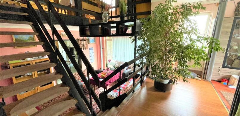 Körösladányi szinteltolás és falusi turizmus az egyben eladó!