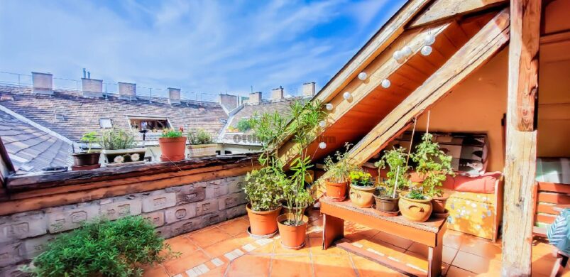 Belső kétszintes oázis Erzsébetvárosban, kuriózum épületben!