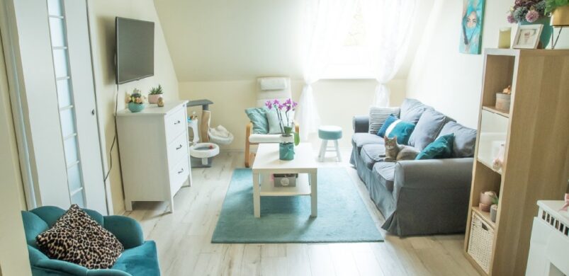 Türkiz álom 62 nm-en, Székesfehérvár belvárosában