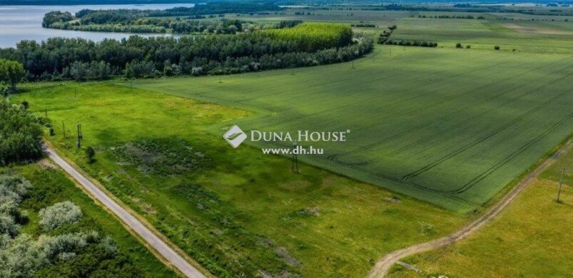 A hét hirdetése: termálkút Sarudon fél milliárdért eladó