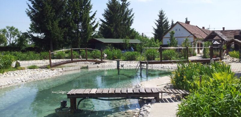 Kerkáskápolna kincsei: kúria és sváb parasztház az egyben eladó!