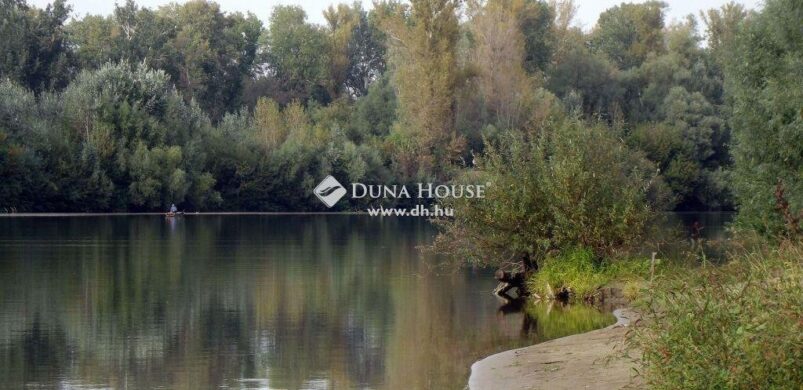 Séta a saját oázisunkban? Eladó Tiszatelek egyik izgalmas birtoka!