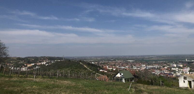 Egyetlen fotó is elég bizonyíték: íme Szekszárd legszebb kilátása!