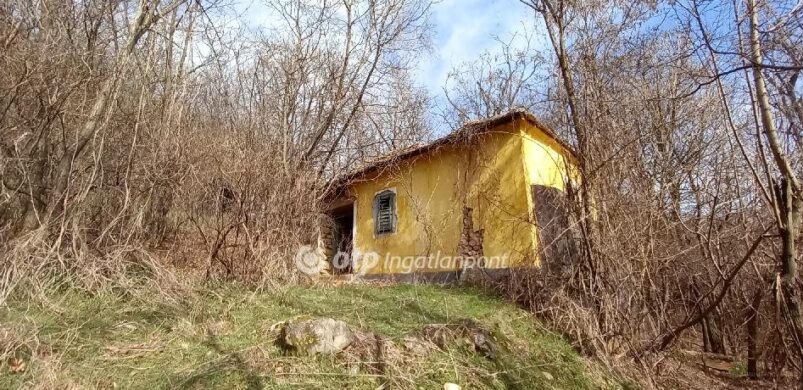 Sümeg ígérete: small housing 10 millió alatt?