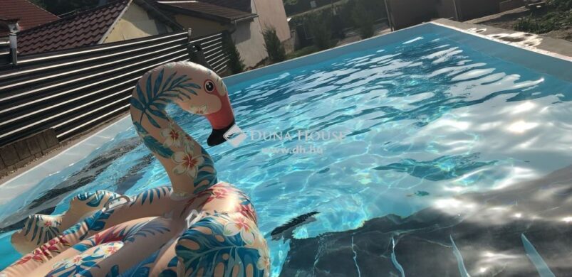 Keszüben már a flamingók is nyári üzemmódban vannak!