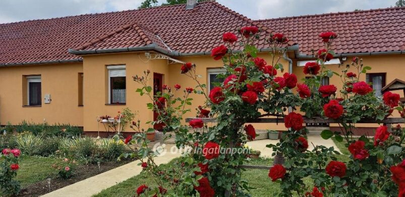 Egy ügyes trükk: a rózsák miatt kattintottunk a 39 milliós gyulai házra!
