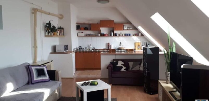 Kicsi a garzon, de hangulatban erős!